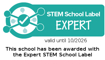 STEM expert